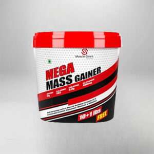 Mega Mass Gainer 11 LBS